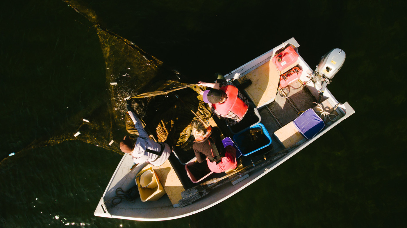 Researchers in a boat on the lakes at IISD Experimental Lakes Area in Ontario